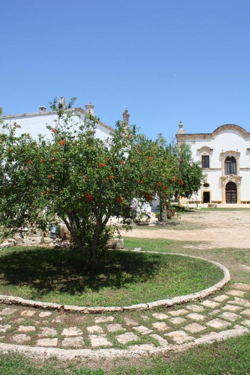 Masseria Maccarone Fasano Exteriör bild