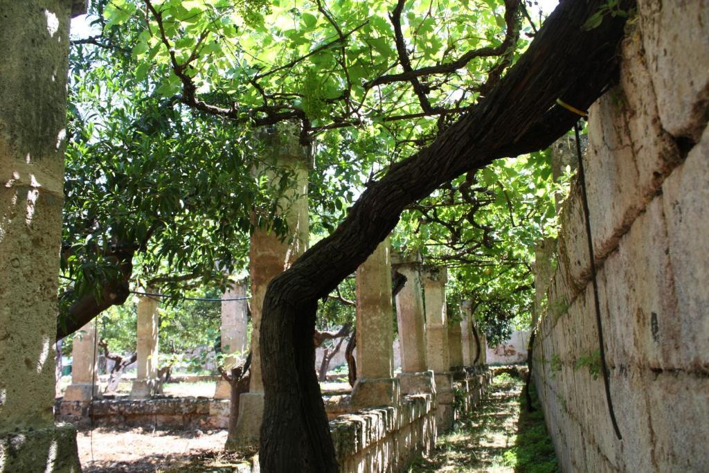 Masseria Maccarone Fasano Exteriör bild