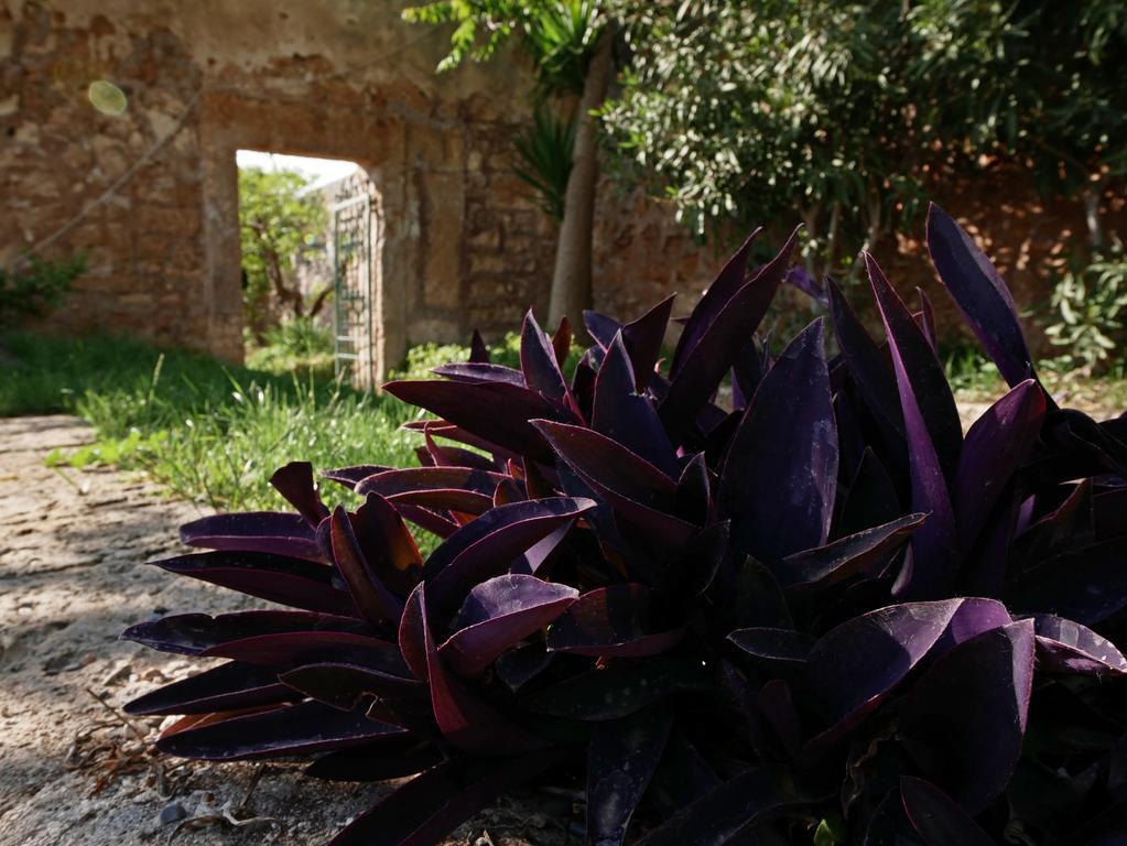 Masseria Maccarone Fasano Exteriör bild