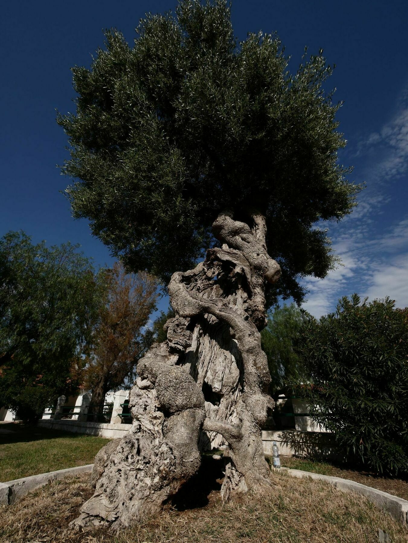 Masseria Maccarone Fasano Exteriör bild